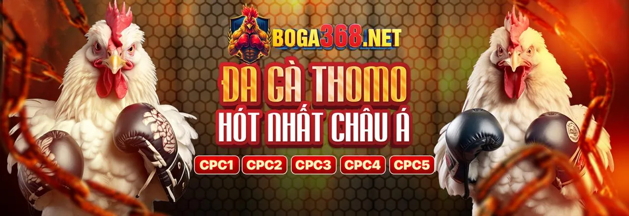 F168 APK Tổng Quan Các Loại Trò Chơi